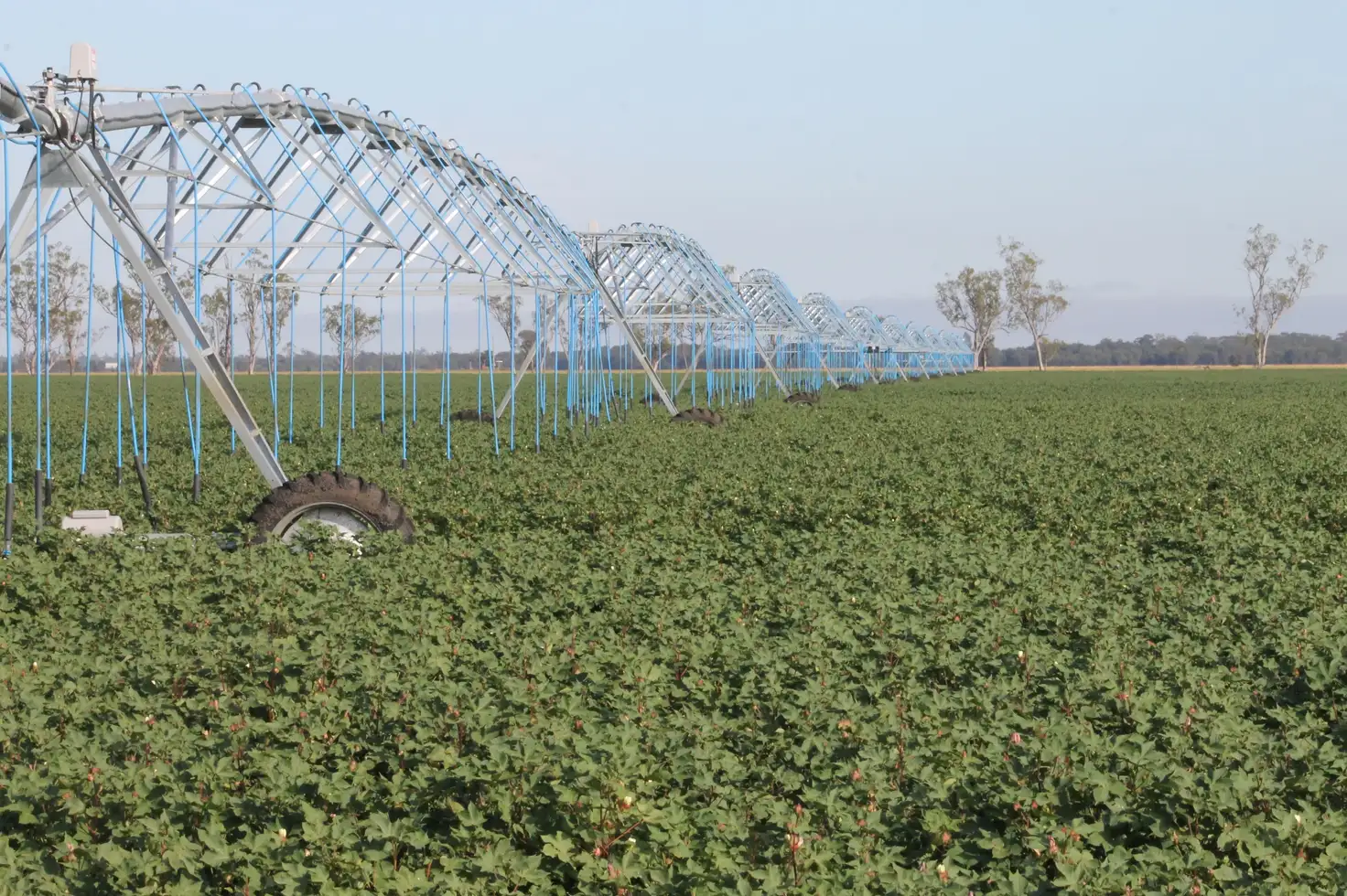 Main view of Homely rural property listing, 16860 Warrego Highway, Bowenville QLD 4404