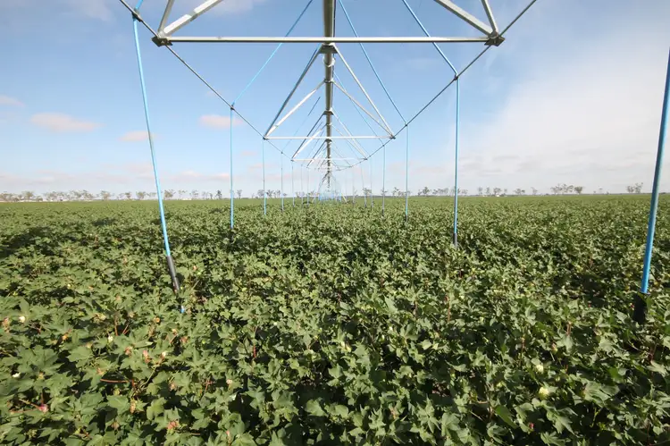 Second view of Homely rural property listing, 16860 Warrego Highway, Bowenville QLD 4404