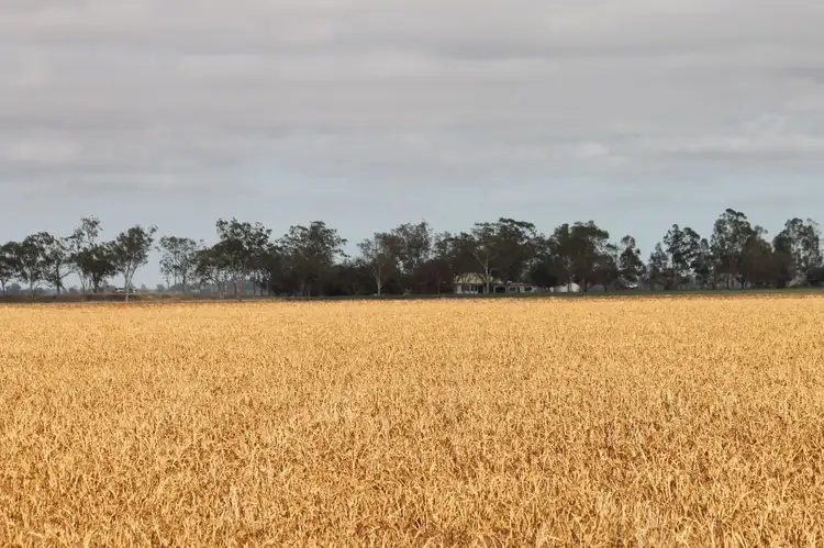 Third view of Homely rural property listing, 16860 Warrego Highway, Bowenville QLD 4404