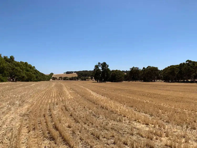 Second view of Homely rural property listing, 53 Nichols Road, Westdale WA 6304