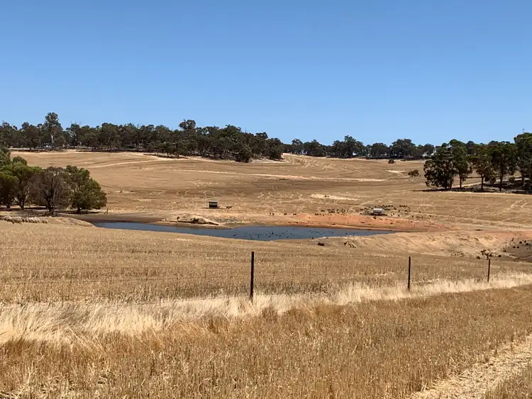 Sixth view of Homely rural property listing, 53 Nichols Road, Westdale WA 6304