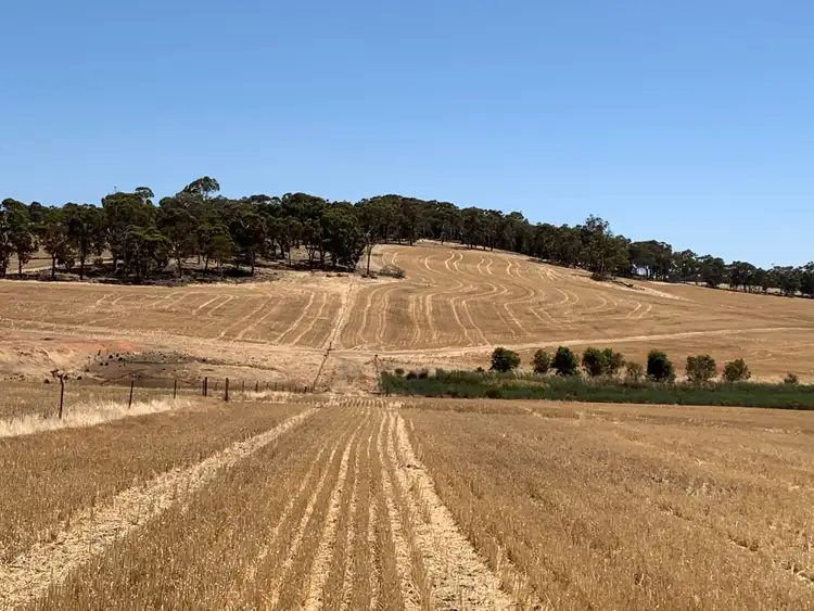 Seventh view of Homely rural property listing, 53 Nichols Road, Westdale WA 6304