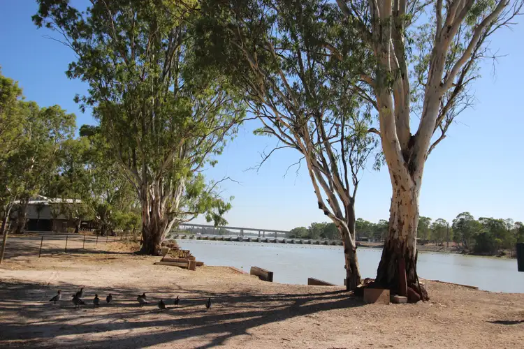 Fourth view of Homely land listing, 14 Egerton Street, Blanchetown SA 5357