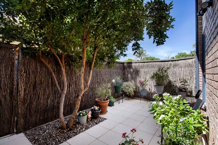 Third view of Homely house listing, 4/73-75 Rose Terrace, Wayville SA 5034