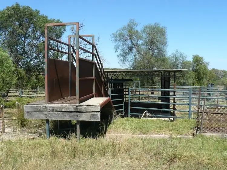 Seventh view of Homely rural property listing, '' Mindah, Warialda NSW 2402