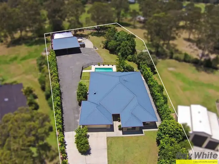 Main view of Homely house listing, 14 Bushcherry Court, Burpengary East QLD 4505