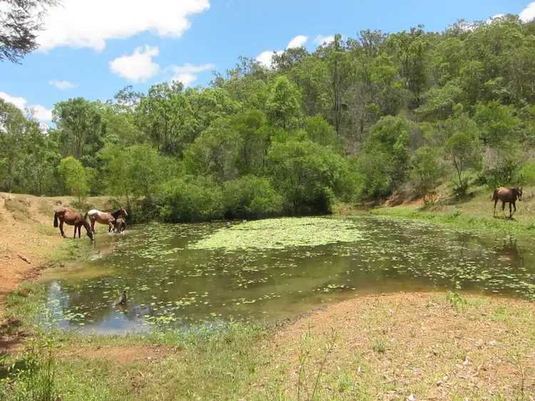 Fourth view of Homely rural property listing, Lot 21 Banks Creek Road, Banks Creek QLD 4306