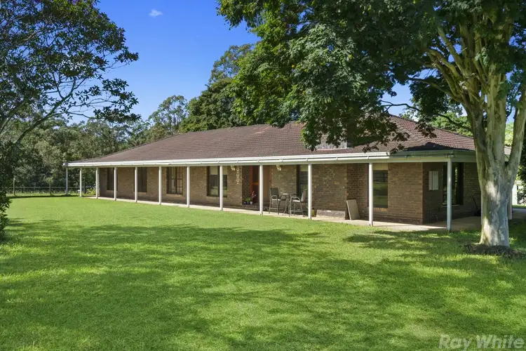Main view of Homely rural property listing, 530 Newlands Road, Wamuran QLD 4512