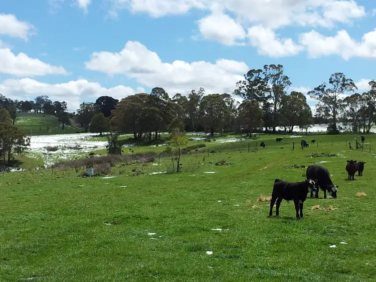 Second view of Homely rural property listing, 1422 Jerrong Road, Jerrong NSW 2580