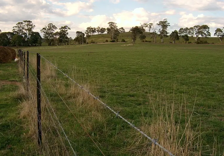 Seventh view of Homely rural property listing, 1422 Jerrong Road, Jerrong NSW 2580