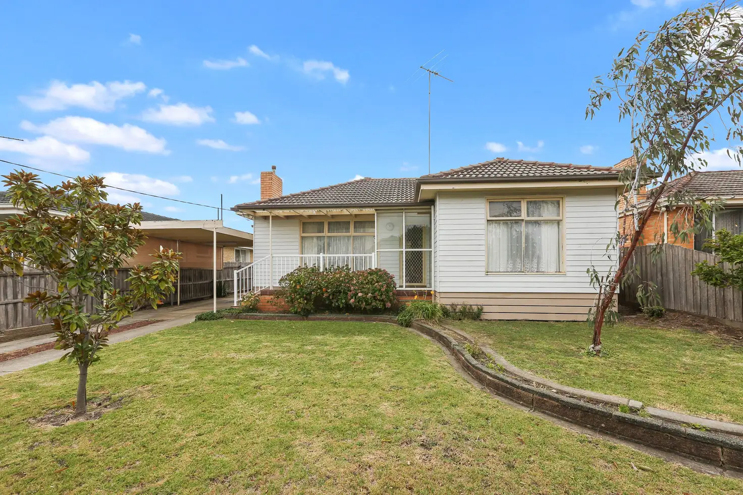 Main view of Homely house listing, 64 Pavo Street, Belmont VIC 3216