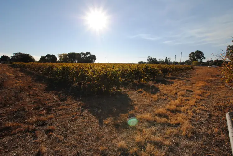 Third view of Homely rural property listing, 32-36 KIDMAN Way, Hanwood NSW 2680