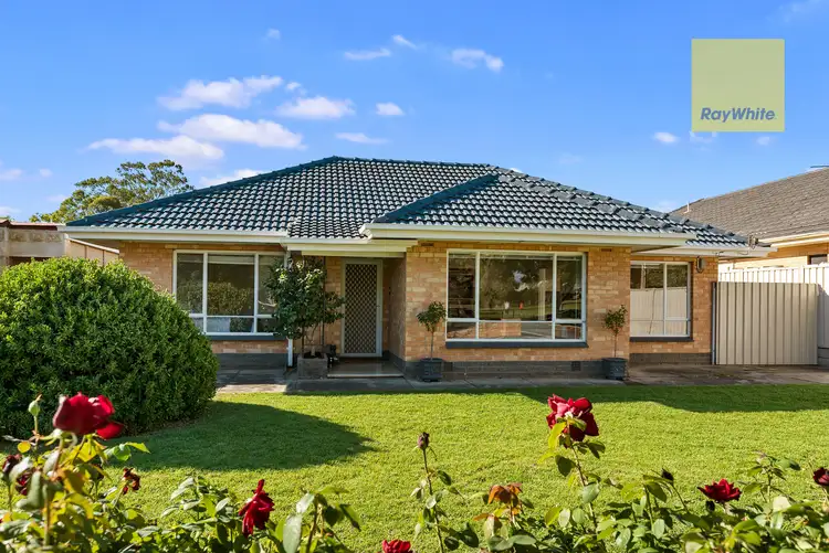 31 Allchurch Avenue, North Plympton SA 5037
