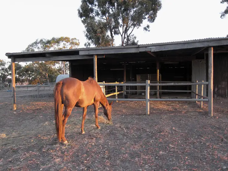 Main view of Homely rural property listing, 246 Hunters Lane, Knowsley VIC 3523
