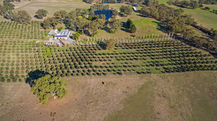 Second view of Homely house listing, 226 Cromer Road, Birdwood SA 5234