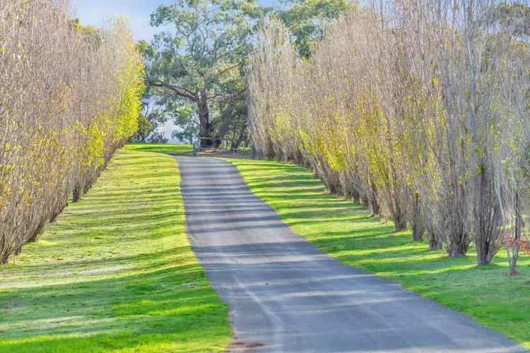 Fourth view of Homely house listing, 226 Cromer Road, Birdwood SA 5234