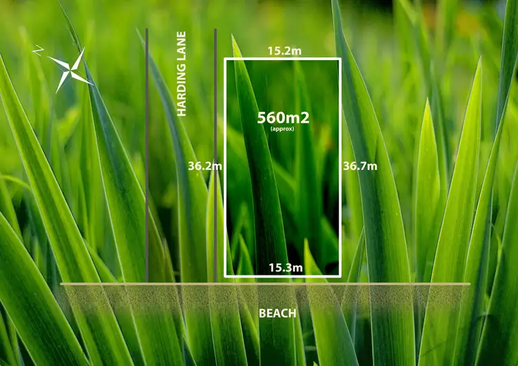 Fourth view of Homely house listing, 10 Harding Avenue, Bonbeach VIC 3196