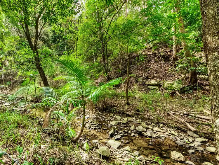 Sixth view of Homely rural property listing, 54 Elevation Drive, Wongawallan QLD 4210