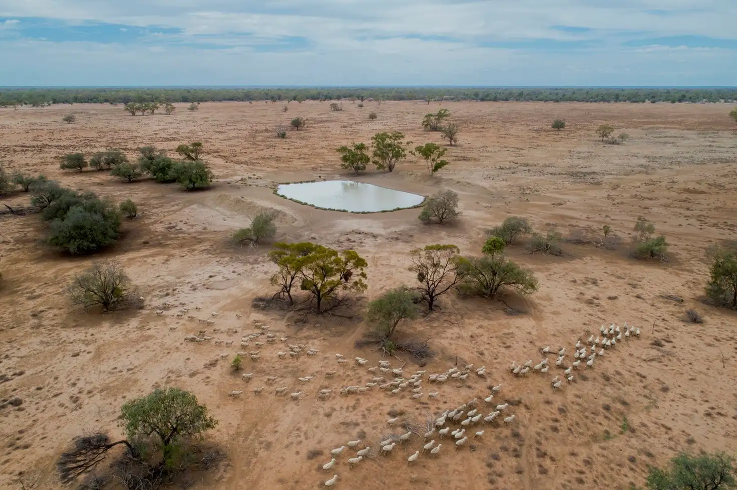 Main view of Homely rural property listing, 11677 Quilbone Merri Merri Road, Quambone NSW 2831