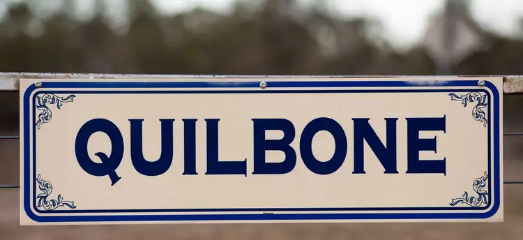 Sixth view of Homely rural property listing, 11677 Quilbone Merri Merri Road, Quambone NSW 2831