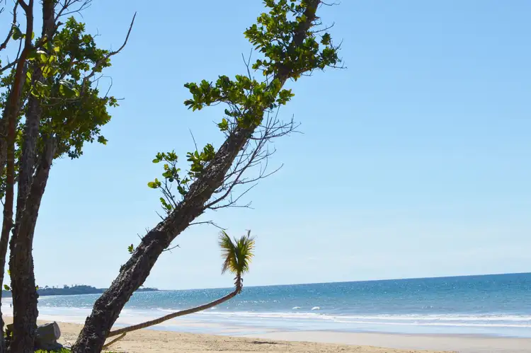 Fifth view of Homely house listing, 15 Koda Street, Wongaling Beach QLD 4852