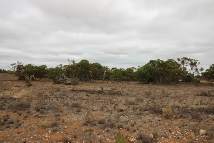 Seventh view of Homely land listing, Lots 1 Hunter Road, Swan Reach SA 5354