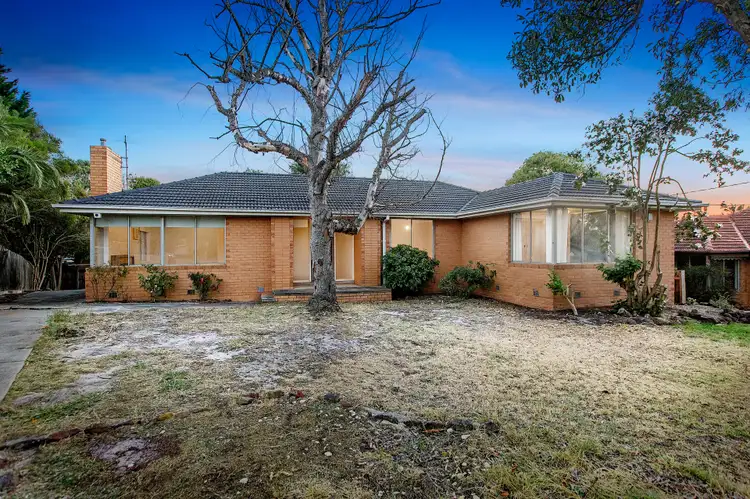 8 Lisa Court, Frankston VIC 3199