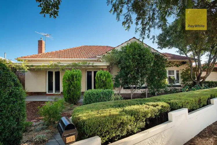 141 Glengyle Terrace, Plympton SA 5038