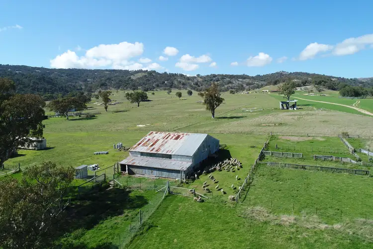 Main view of Homely rural property listing, 924a Kildare Road, Tenterfield NSW 2372