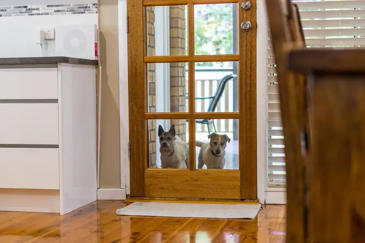 Seventh view of Homely house listing, 29 Links Drive, Raymond Terrace NSW 2324