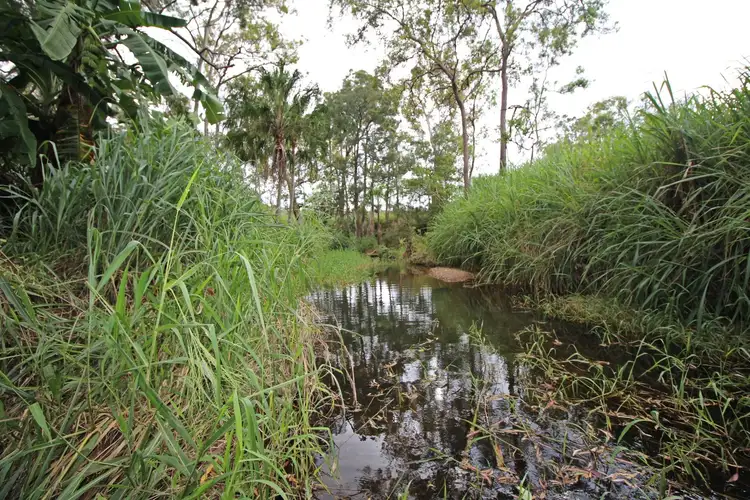 Fifth view of Homely house listing, 89806 Bruce Highway, Sarina QLD 4737