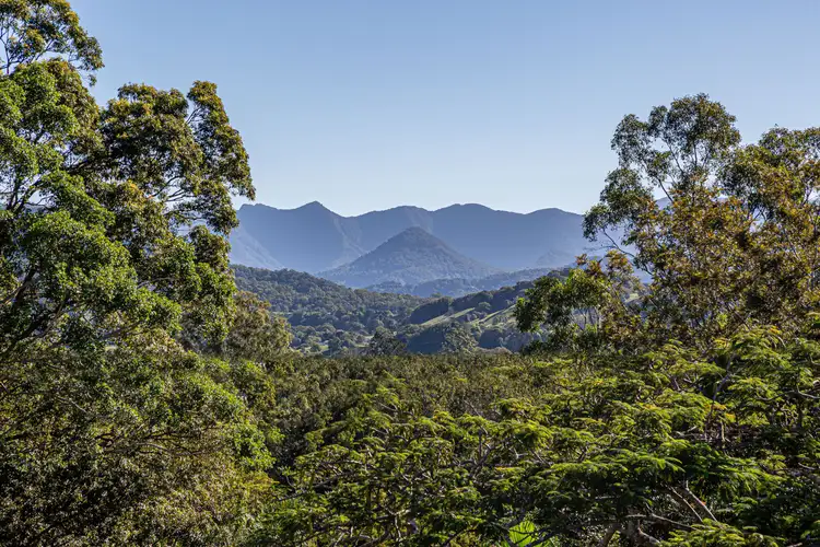 Sixth view of Homely house listing, 139 Byangum Road, Murwillumbah NSW 2484