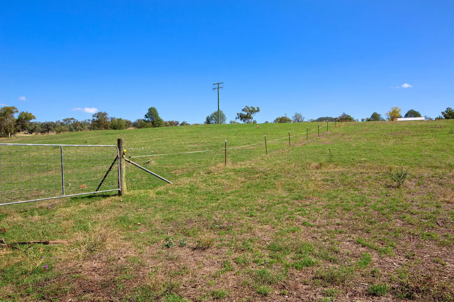 Main view of Homely rural property listing, 195 New England Gully Road, Moonbi NSW 2353