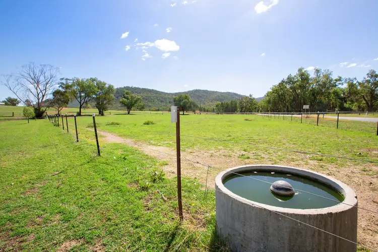 Second view of Homely rural property listing, 195 New England Gully Road, Moonbi NSW 2353