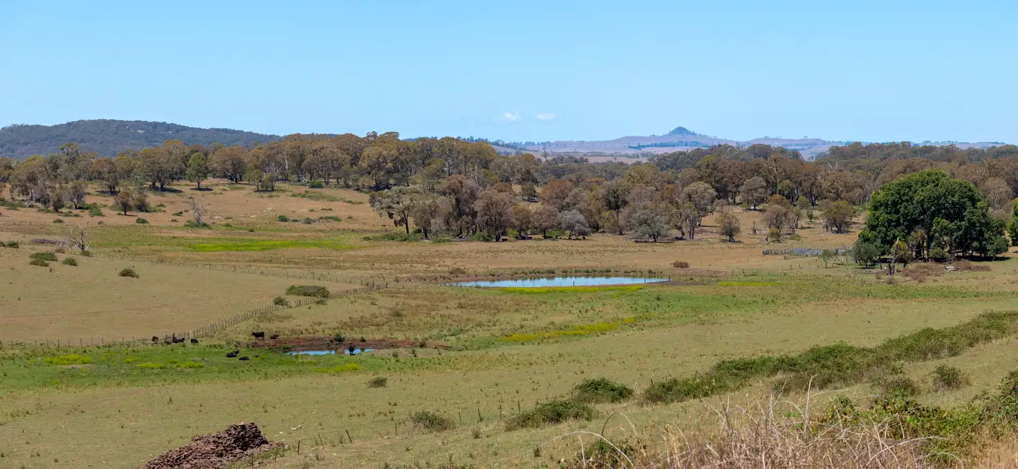 Main view of Homely rural property listing, 5736 New England Highway, Llangothlin NSW 2365