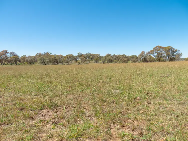 Second view of Homely rural property listing, 5736 New England Highway, Llangothlin NSW 2365