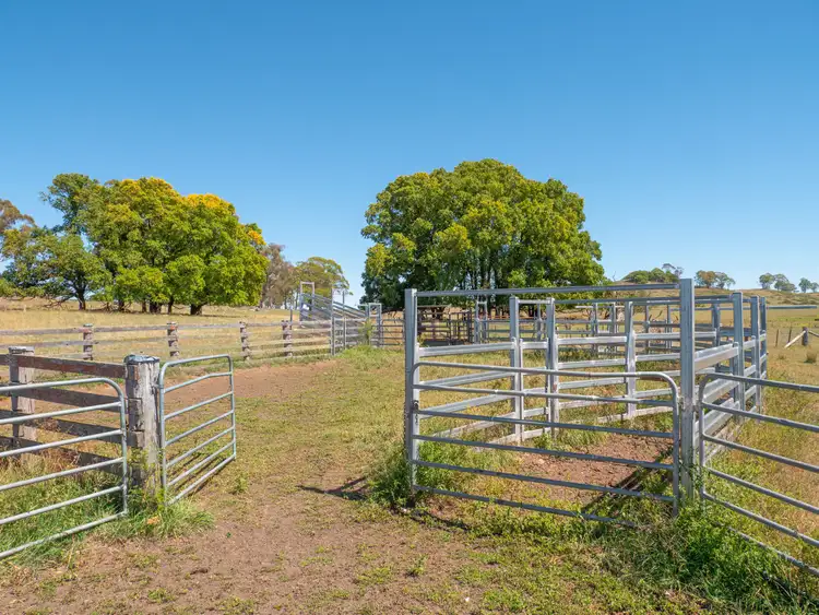 Third view of Homely rural property listing, 5736 New England Highway, Llangothlin NSW 2365