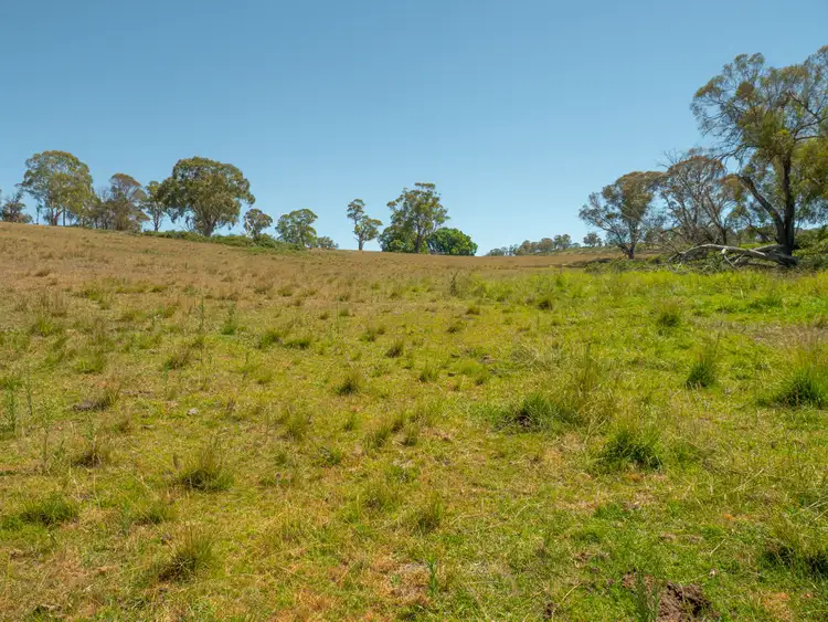 Fourth view of Homely rural property listing, 5736 New England Highway, Llangothlin NSW 2365