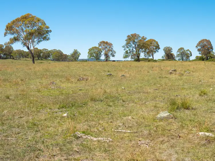 Sixth view of Homely rural property listing, 5736 New England Highway, Llangothlin NSW 2365