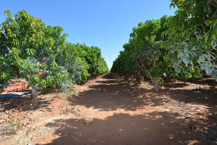 219 McGlades Road, Carnarvon WA 6701