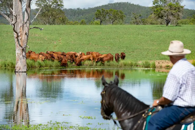 Main view of Homely rural property listing, 1519 Agnesvale Road, Kullogum QLD 4660