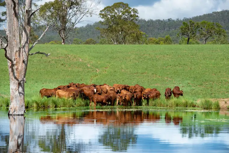 Second view of Homely rural property listing, 1519 Agnesvale Road, Kullogum QLD 4660