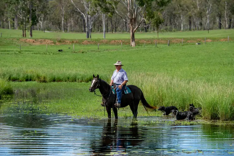Sixth view of Homely rural property listing, 1519 Agnesvale Road, Kullogum QLD 4660