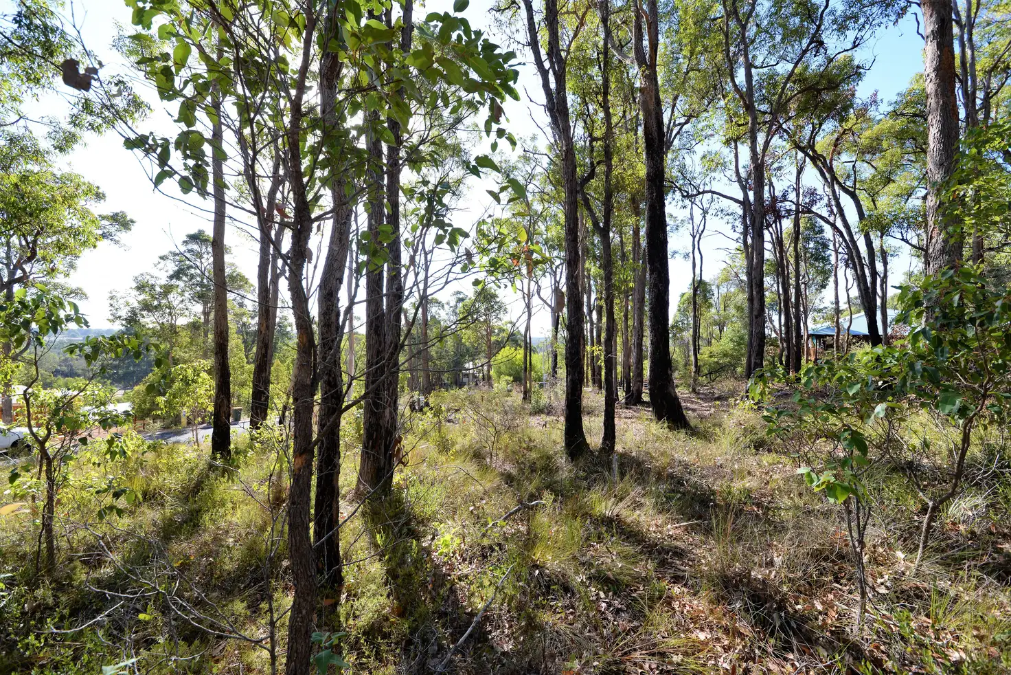 Main view of Homely land listing, 43 Carey Street, Nannup WA 6275