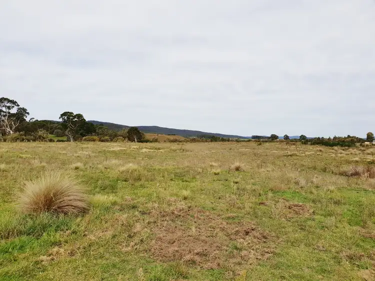 Fourth view of Homely rural property listing, 4687 Cooma Road, Braidwood NSW 2622