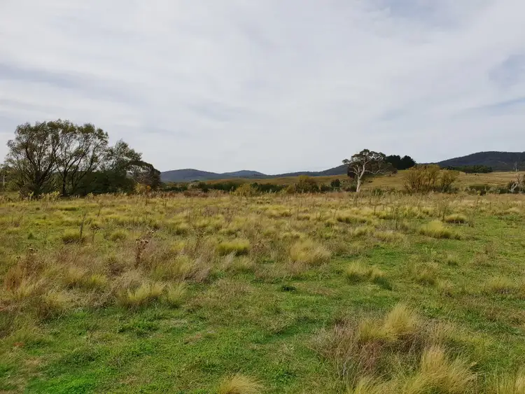 Fifth view of Homely rural property listing, 4687 Cooma Road, Braidwood NSW 2622