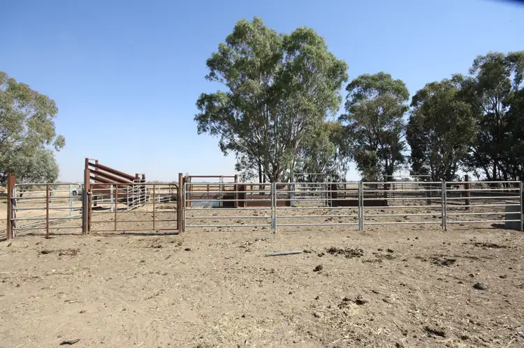 Third view of Homely rural property listing, Lot 2 Thornton and Tehan Road, Koyuga VIC 3622