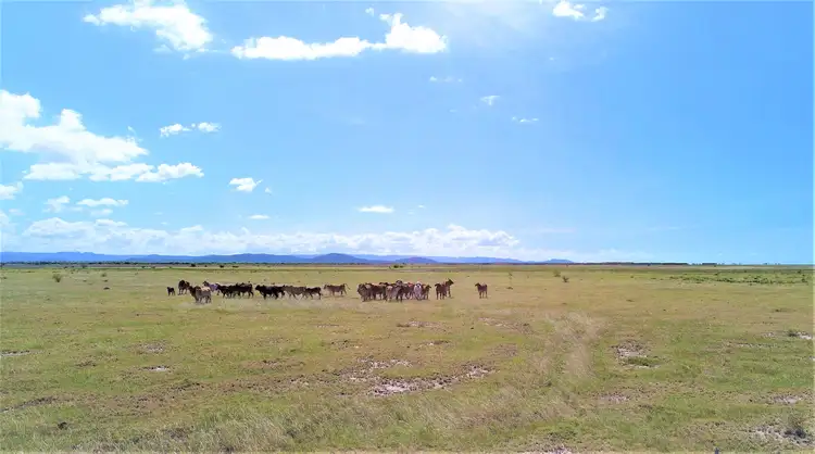 Fifth view of Homely rural property listing, 'Bar Plains' 390 Bar Plains Road, St Lawrence QLD 4707