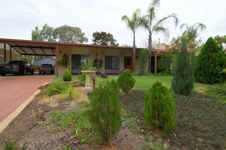 19 Dennis Street, Berri SA 5343