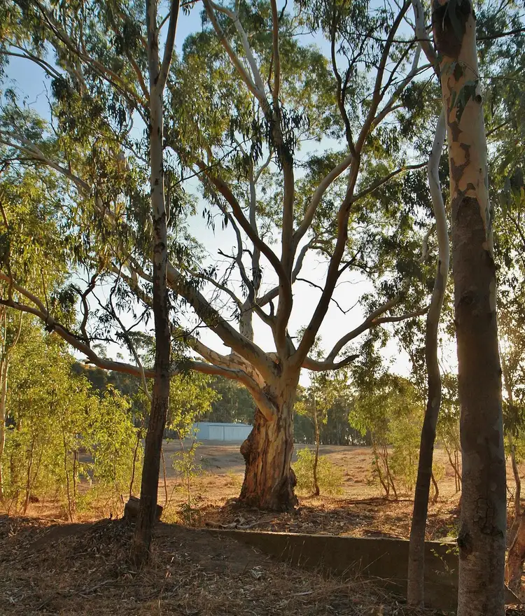 Third view of Homely land listing, 449 Mia Mia-Derrinal Road, Heathcote VIC 3523